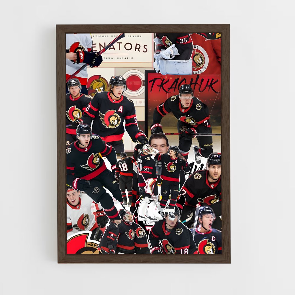 Poster L'Héritage des Sénateurs – affiche Hockey sur glace (vue 5)